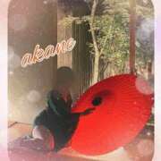 ヒメ日記 2025/02/08 09:05 投稿 あかね 奥様クラブ