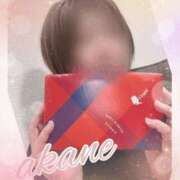 ヒメ日記 2025/02/11 09:05 投稿 あかね 奥様クラブ