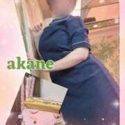 ヒメ日記 2025/02/11 09:40 投稿 あかね 奥様クラブ