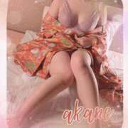 ヒメ日記 2025/02/12 09:05 投稿 あかね 奥様クラブ