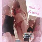 ヒメ日記 2025/02/28 09:45 投稿 あかね 奥様クラブ