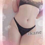 ヒメ日記 2025/03/15 09:05 投稿 あかね 奥様クラブ