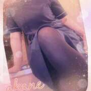 ヒメ日記 2025/03/16 12:15 投稿 あかね 奥様クラブ