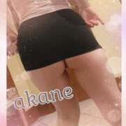 ヒメ日記 2025/03/19 09:05 投稿 あかね 奥様クラブ