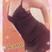 ヒメ日記 2025/03/19 23:40 投稿 あかね 奥様クラブ