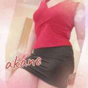 ヒメ日記 2025/03/20 09:05 投稿 あかね 奥様クラブ