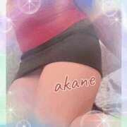 ヒメ日記 2025/03/22 09:05 投稿 あかね 奥様クラブ