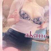 ヒメ日記 2025/03/28 09:05 投稿 あかね 奥様クラブ