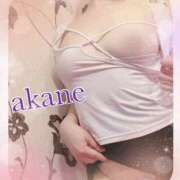 ヒメ日記 2025/04/07 09:20 投稿 あかね 奥様クラブ