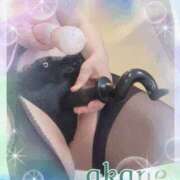 ヒメ日記 2025/04/08 16:05 投稿 あかね 奥様クラブ