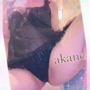 ヒメ日記 2025/04/09 09:05 投稿 あかね 奥様クラブ