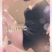 ヒメ日記 2025/04/11 00:35 投稿 あかね 奥様クラブ