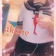 ヒメ日記 2025/04/12 09:05 投稿 あかね 奥様クラブ