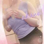 ヒメ日記 2025/04/12 11:35 投稿 あかね 奥様クラブ