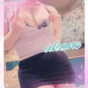 ヒメ日記 2025/04/14 09:05 投稿 あかね 奥様クラブ