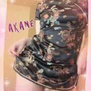 ヒメ日記 2025/04/14 09:40 投稿 あかね 奥様クラブ