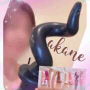 ヒメ日記 2025/04/16 09:55 投稿 あかね 奥様クラブ