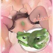 ヒメ日記 2025/04/16 11:05 投稿 あかね 奥様クラブ