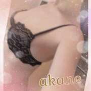 ヒメ日記 2025/04/22 09:05 投稿 あかね 奥様クラブ