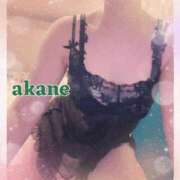 ヒメ日記 2025/04/23 09:05 投稿 あかね 奥様クラブ