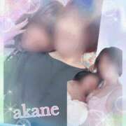 ヒメ日記 2025/04/25 13:50 投稿 あかね 奥様クラブ