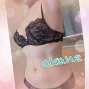 ヒメ日記 2025/04/26 09:05 投稿 あかね 奥様クラブ