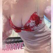 ヒメ日記 2025/04/27 09:05 投稿 あかね 奥様クラブ