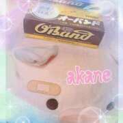 ヒメ日記 2025/05/01 11:35 投稿 あかね 奥様クラブ