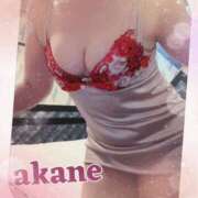 ヒメ日記 2025/05/02 09:05 投稿 あかね 奥様クラブ