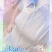 ヒメ日記 2025/05/10 09:05 投稿 あかね 奥様クラブ