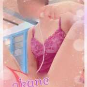 ヒメ日記 2025/05/12 00:55 投稿 あかね 奥様クラブ