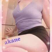 ヒメ日記 2025/05/17 09:05 投稿 あかね 奥様クラブ