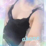 ヒメ日記 2025/05/18 09:05 投稿 あかね 奥様クラブ