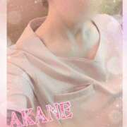 ヒメ日記 2025/05/28 09:15 投稿 あかね 奥様クラブ