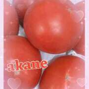 ヒメ日記 2025/05/28 12:40 投稿 あかね 奥様クラブ