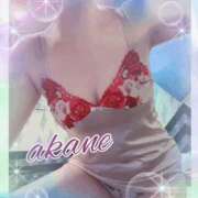 ヒメ日記 2025/06/04 09:05 投稿 あかね 奥様クラブ