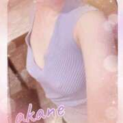 ヒメ日記 2025/06/06 09:05 投稿 あかね 奥様クラブ