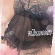 ヒメ日記 2025/06/06 23:15 投稿 あかね 奥様クラブ