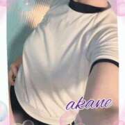 ヒメ日記 2025/06/07 09:05 投稿 あかね 奥様クラブ