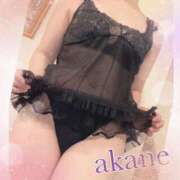 ヒメ日記 2025/06/08 09:05 投稿 あかね 奥様クラブ