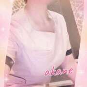 ヒメ日記 2025/06/08 10:55 投稿 あかね 奥様クラブ