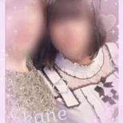 ヒメ日記 2025/06/14 23:00 投稿 あかね 奥様クラブ