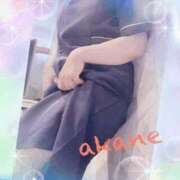 ヒメ日記 2025/06/16 11:25 投稿 あかね 奥様クラブ