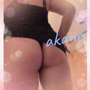 ヒメ日記 2025/06/25 00:00 投稿 あかね 奥様クラブ