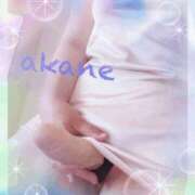 ヒメ日記 2025/06/29 10:25 投稿 あかね 奥様クラブ