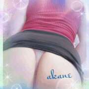 ヒメ日記 2025/07/01 15:20 投稿 あかね 奥様クラブ