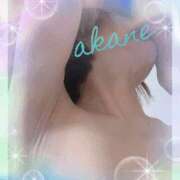 ヒメ日記 2025/07/04 00:00 投稿 あかね 奥様クラブ