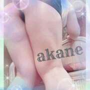 ヒメ日記 2025/07/04 09:05 投稿 あかね 奥様クラブ