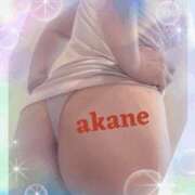 ヒメ日記 2025/07/04 23:30 投稿 あかね 奥様クラブ