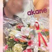 ヒメ日記 2025/07/12 21:35 投稿 あかね 奥様クラブ